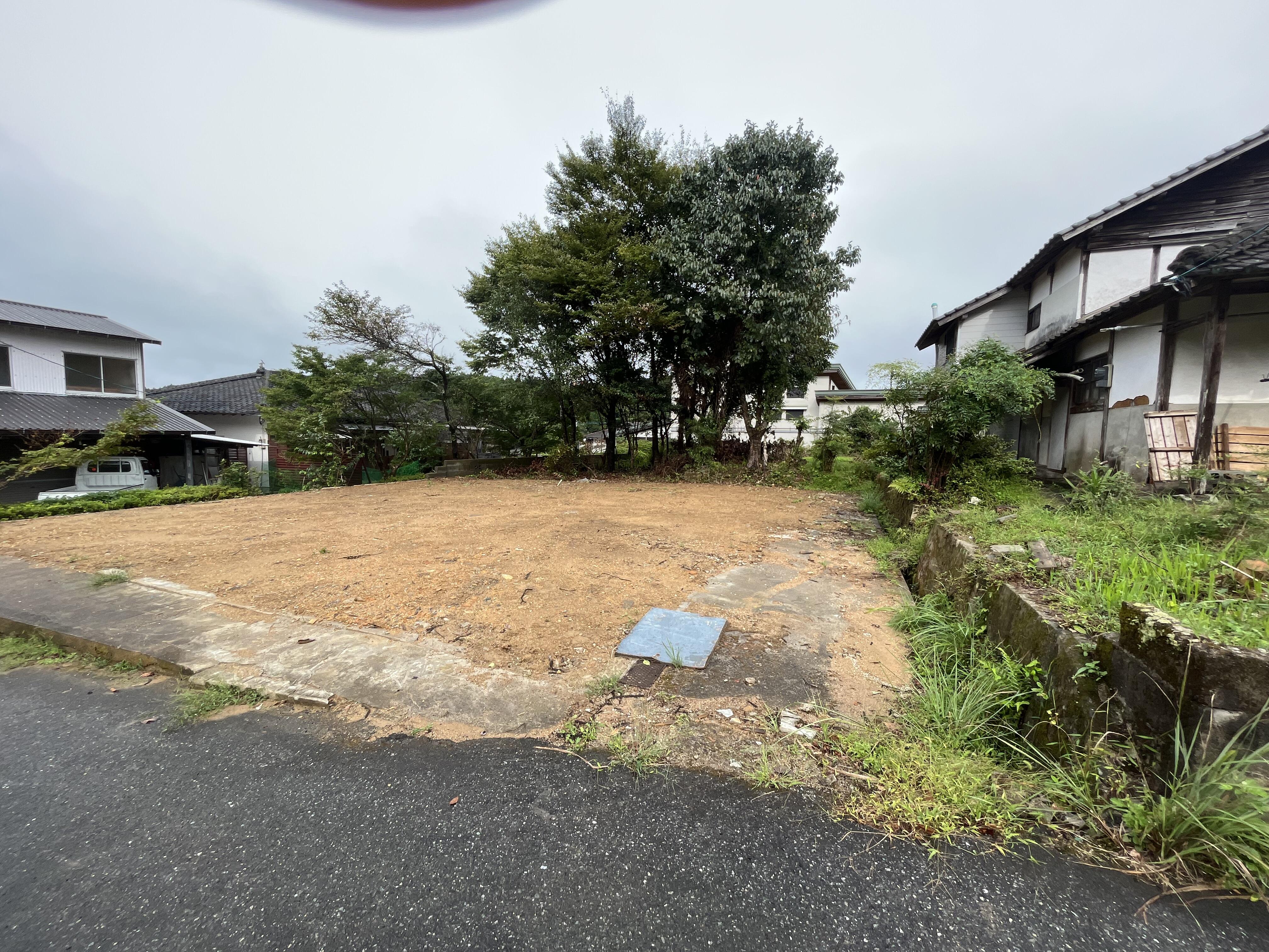 https://vill.toho-info.com/iju/2026/06/11/IMG_1016.jpeg
