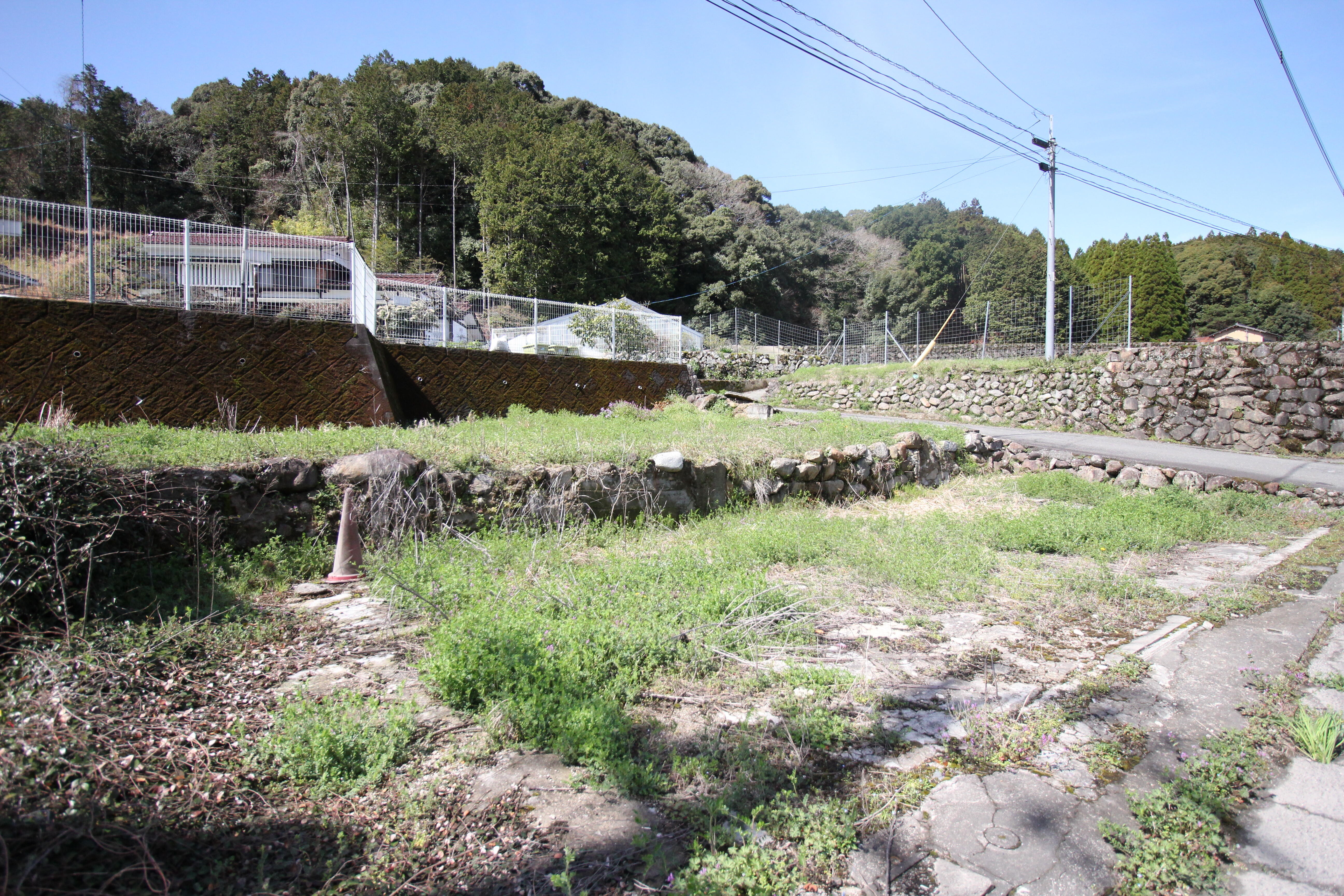 https://vill.toho-info.com/iju/2026/06/11/IMG_8592.JPG