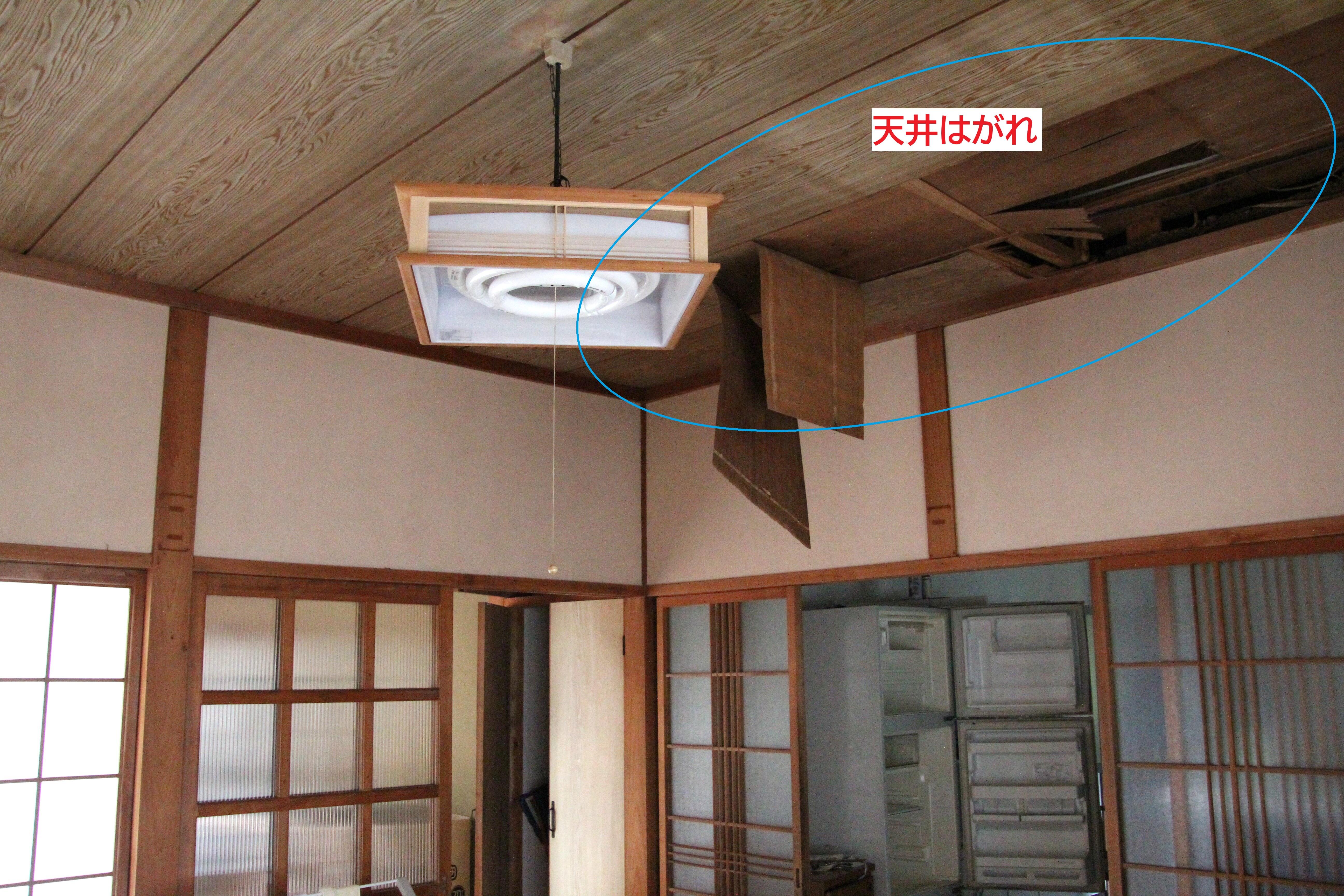 https://vill.toho-info.com/iju/2026/07/08/IMG_5995.JPG
