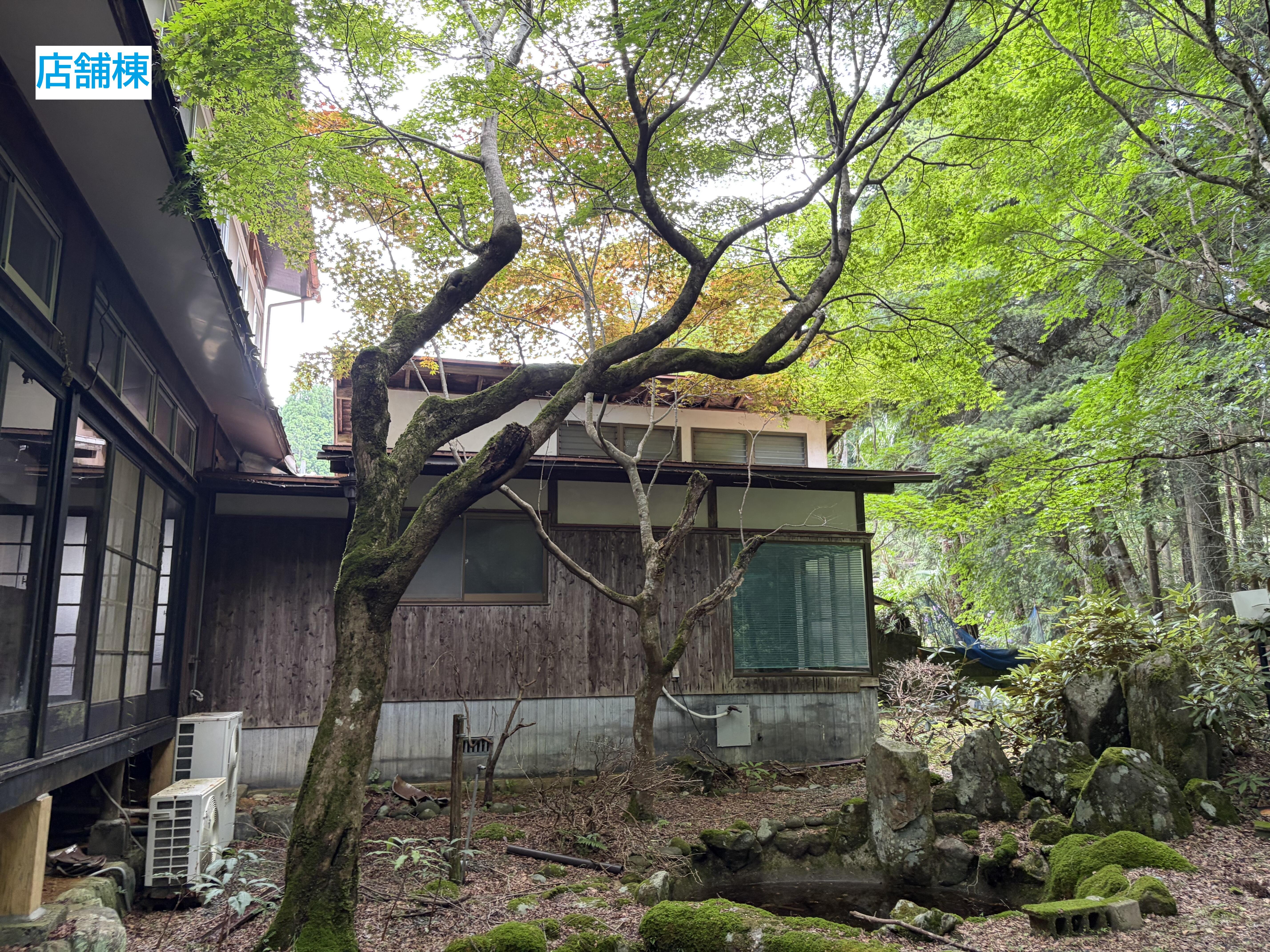 https://vill.toho-info.com/iju/2026/07/13/IMG_5153.JPG